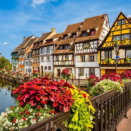 Apartment Le Tiny Colmar